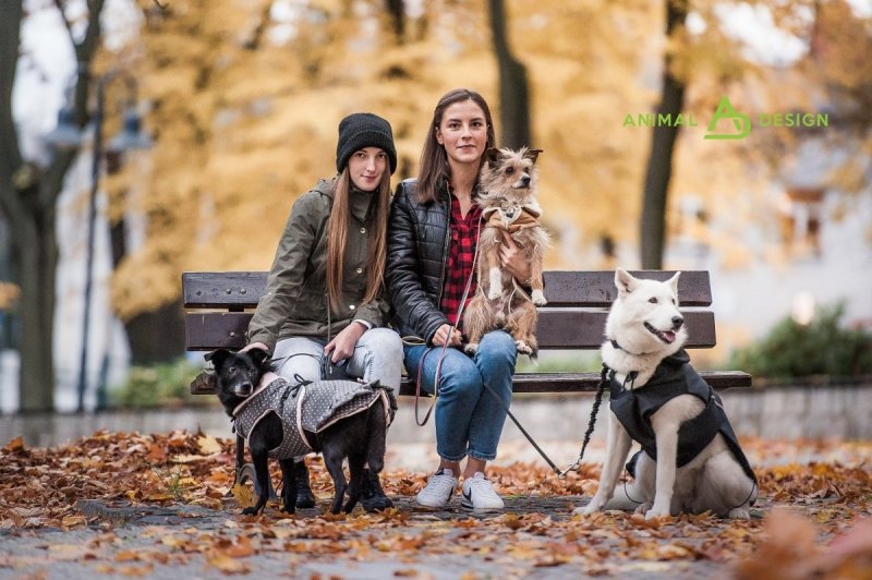 ANIMAL DESIGN Derka zielono-czarna roz 10 50cm