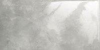 Epoxy Graphite 1 Poler 59,8x29,8 Epoxy Graphite 1 Poler 59,8x29,8