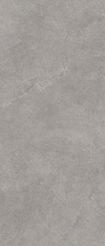Paradyż Authority Grey Mat (My Way) 119,8x279,8