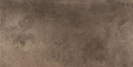 Ceracasa Evolution Titanio 49,1x98,2