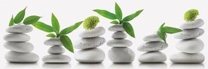 Dekor Lakewood SPA 1 20X60 