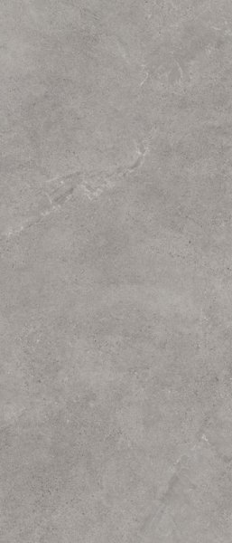 Paradyż Authority Grey Mat (My Way) 119,8x279,8