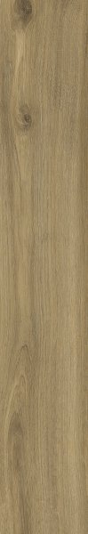 Paradyż Specialwood Gold Gres Szkl. Rekt 19,8x119,8