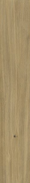 Paradyż Specialwood Gold Gres Szkl. Rekt 19,8x119,8