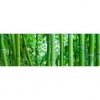 CERAMIKA KOŃSKIE bamboo glass inserto 2x25x75 rect g1 kpl
