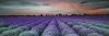 CERAMIKA KOŃSKIE lavender field glass inserto 25x75 rect g1 szt