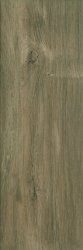 PARADYZ KW wood basic brown gres szkl. 20x60 g1 200x600 g1 m2