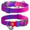 Collar WauDog Recycled Obroża nylonowa z QR-paszportem, gradient S 15mm/25-35cm fioletowy