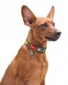 Collar WauDog Nylon Obroża nylonowa z QR-paszportem, plastikowy fastex, wzór FUTRZANE POTWORY, M 20mm/28-40cm