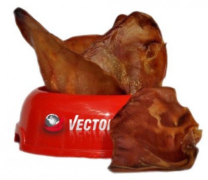 Vector-Food Ucho wieprzowe średnie 10szt 