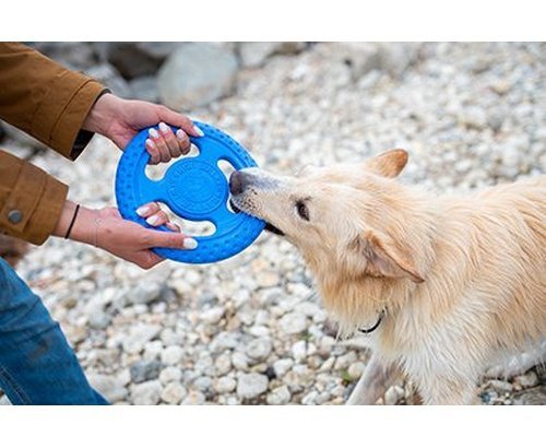 Kiwi Walker Let&#039;s Play Frisbee Mini niebieskie