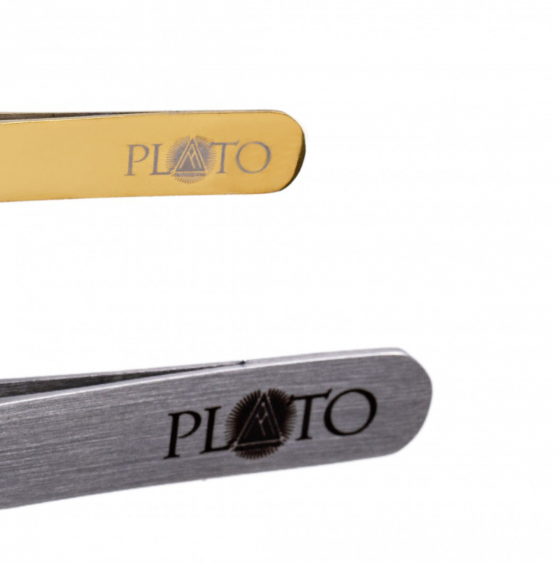 Pęseta do brwi profesjonalna Slanted Silver