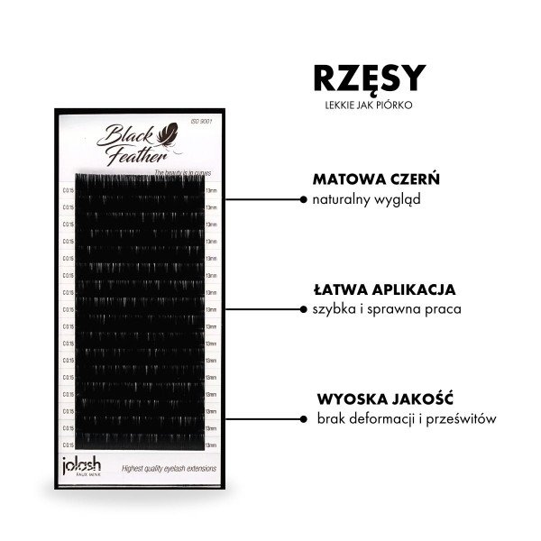 Paleta rzęs Black Feather