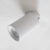 TLS006-WH TORE LAMPA SUFITOWA BIAŁA/WHITE