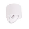 Biała lampa sufitowa VECTOR led 10W MAXLIGHT C0265 