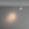Lampa szynowa reflektor szynoprzewody jednofazowe LED nowoczesny aluminium biała regulowana tuba VUORO MAYTONI TR003-1-15W3K-S-W