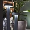 Antracytowy Prosty Słupek Ogrodowy Nowoczesny TESLA 153193 IDEAL LUX