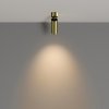 Sufitowy Reflektor Złoty Natynkowy FOCUS LED 3000K 1X12W MAYTONI C055CL-L12W3K-W-BS