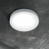 Okrągła Biała Lampa Sufitowo Ścienna UNIVERSAL 240367 IDEAL LUX