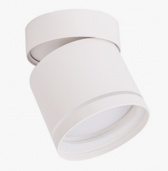 Lampa sufitowa natynkowa nowoczesna tuba regulowana spot sufitowy aluminium biały KENDAL LP-6331/1SM R1 WH movable Light Prestige