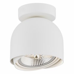 Nietuzinkowy nowoczesny klasyczny minimalistyczny regulowany reflektor plafon biały GARLAND 4710 Argon