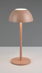 Lampka stołowa Indoor/Outdoor LED brązowa minimalistyczna klasyczna uniwersalna ściemnialna RICARDO IP54 R54106165 RL