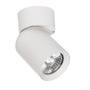 Lampa sufitowa natynkowa POINTA 1 spot biały Light Prestige LP-6398/1WS WH regulowany GU10