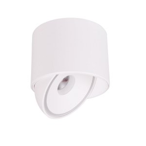 Biała lampa sufitowa VECTOR led 10W MAXLIGHT C0265 