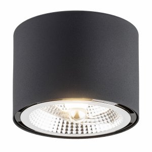 Nowoczesny minimalistyczny stylowy plafon czarny alternatywa dla lamp tuba CLEVLAND 4691 Argon
