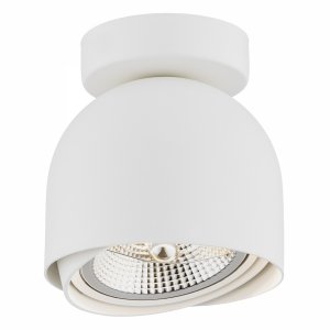Nietuzinkowy nowoczesny klasyczny minimalistyczny regulowany reflektor plafon biały GARLAND 4710 Argon