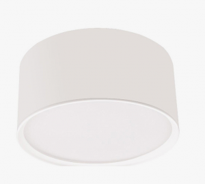 Nowoczesna hermetyczna oprawa sufitowa natynkowa plafon LED tuba spot sufitowy aluminium biały KENDAL LP-6331/1C IP54 WH Light Prestige CCT
