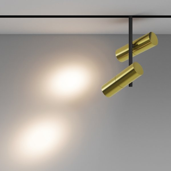 Ścieżka świetlna lampa szynowa podwójna LED nowoczesna regulowana tuba aluminium czerń-mosiądz możliwość ściemniania Elti Duo MAYTONI TR005-4-2X12W-DS-BBS