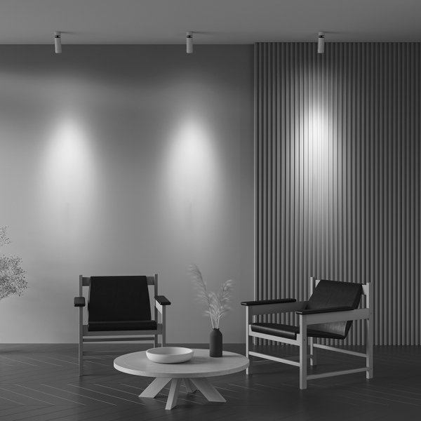 Lampa sufitowa plafon spot minimalistyczna klasyczna LED regulowa tuba aluminium biała Focus Zoom MAYTONI C055CL-L12W3K-Z-W