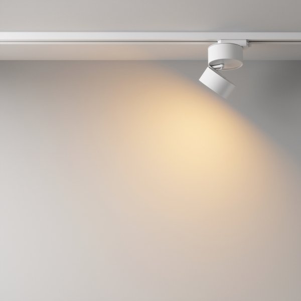 Ścieżka świetlna reflektor na szynoprzewodzie LED minimalistyczny aluminium biały regulowany Onda MAYTONI TR007-1-12W2.7K-W-1