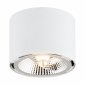Nowoczesny elegancki minimalistyczny reflektor plafon biały alternatywa dla lamp tuba CLEVLAND 4692 Argon 