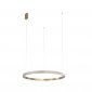 Lampa Wisząca Złota Obręcz LUCES EXCLUSIVAS PAINE LE41732 