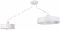 LAMPA WISZĄCA SUFITOWA JUMBO WHITE II 31532 SIGMA 