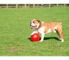 Boomer Ball M - 6 / 15cm czerwona
