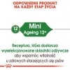 Royal Canin Mini Ageing karma mokra w sosie dla psów dojrzałych po 8 roku życia, ras małych saszetka 85g