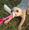 Dingo Zabawka dla psa - Szarpak Wełna owcza z rączką bungee różowy