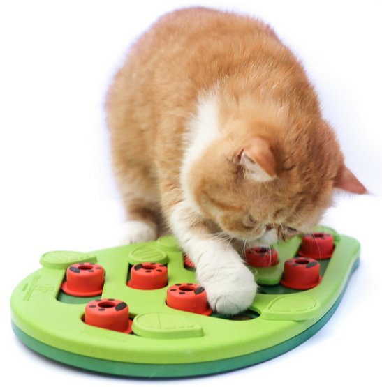 Nina Ottosson Cat Buggin&#039; Out Puzzle & Play - gra edukacyjna dla kotów