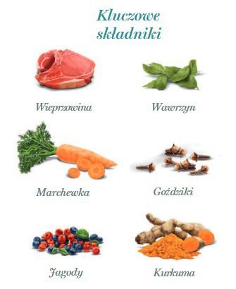 Amanova Dog Adult Iberian Pork - wieprzowina saszetka 300g [P04]