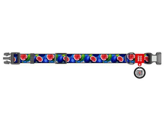 Collar WauDog Nylon Obroża nylonowa z QR-paszportem, plastikowy fastex, wzór FIGA, M 20mm/28-40cm