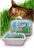 Super Benek Trawka szybkorosnąca dla kota 150g 