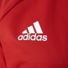 Adidas Fc Bayern Anthem Jacket AC6727