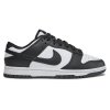 Nike buty Dunk Low Retro DD1391-100