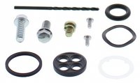 ALL BALLS ZESTAW NAPRAWCZY KRANIKA HONDA TRX450R 08-09 