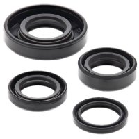 WINDEROSA (VERTEX) KOMPLET (ZESTAW) USZCZELNIACZY SILNIKOWYCH KTM MINI ADV 50 02-07, SR ADV 50 02-07 