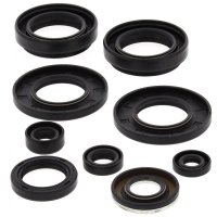 WINDEROSA (VERTEX) KOMPLET (ZESTAW) USZCZELNIACZY SILNIKOWYCH ARCTIC CAT 400 4X4 98-00, 454 2X4 97-98, 454 4X4 96-98, 500 4X4 W/ 
