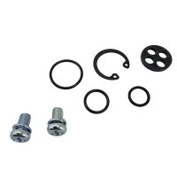 BEARING WORX ZESTAW NAPRAWCZY KRANIKA KAWASAKI EL 250 88-94, VN 1500A 87-99, VN 1500B 87-90, VN 1500C 96-97, VN 1500D CLASSIC 96 